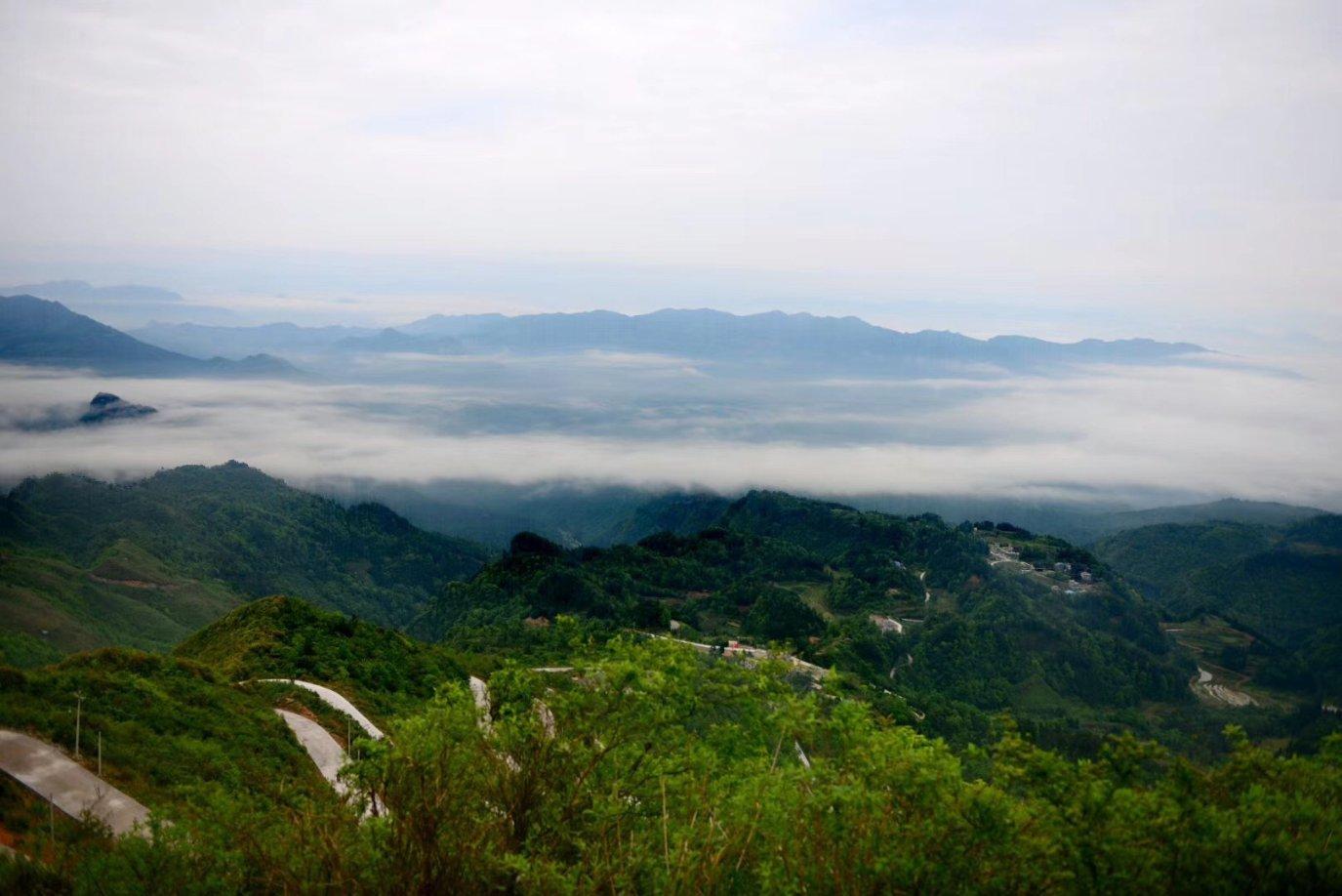 探寻天涯,畅谈017085025133啥号码交流平台