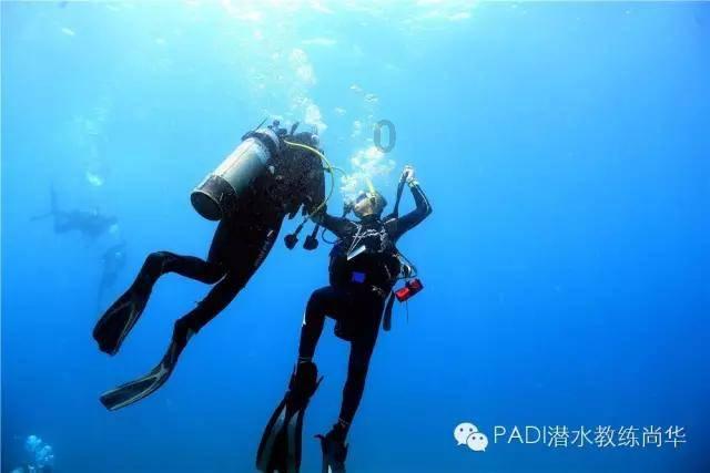 逗小猴开心系列173