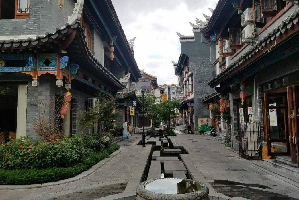 小仓鼠吃瓜子