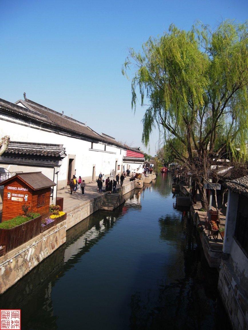 梦想的后院