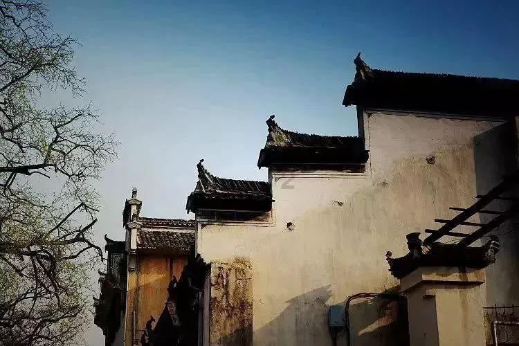 探寻知识问答网页 - 现代医学已经发展到了什么恐怖的水平?疑问解答平台